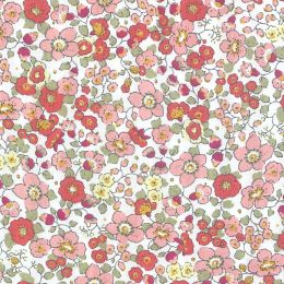 Batista Cudillero Fresa 5 2