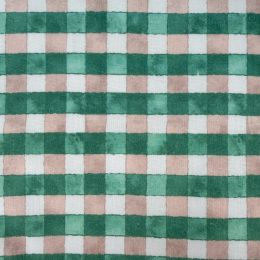 Popelín Vichy Verde y Nude 1