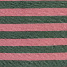 Raya Daniela bicolor Rosa y Verde