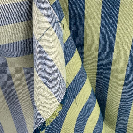 Raya Daniela bicolor Verde y Azul 3