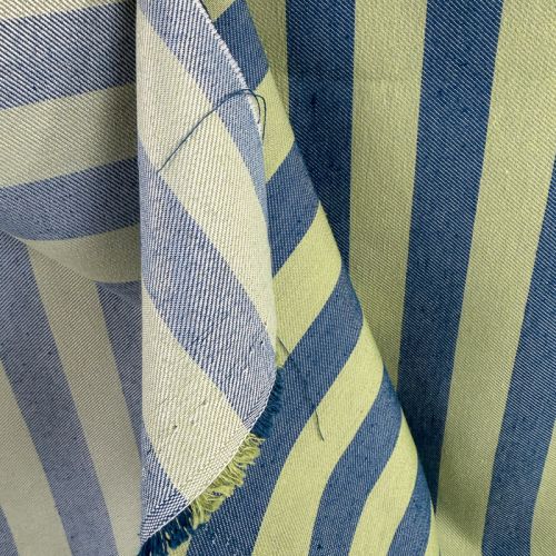 Raya Daniela bicolor Verde y Azul 3